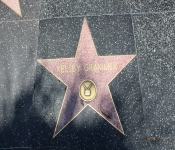 2014 LA CA WalkofFame 032